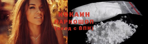 молекула духа Арсеньев