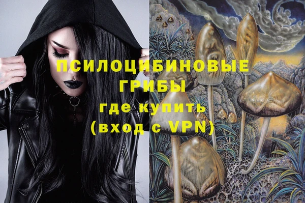 молекула духа Арсеньев