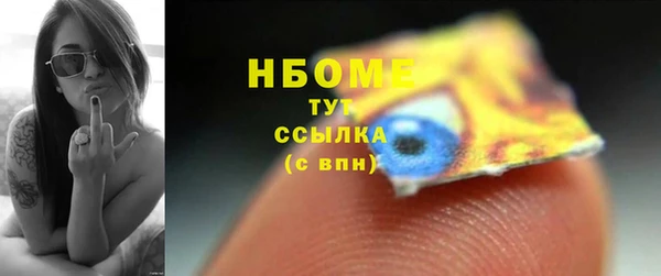 молекула духа Арсеньев