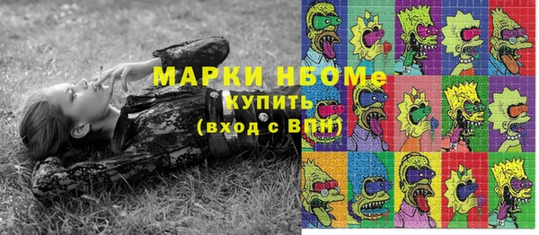 молекула духа Арсеньев